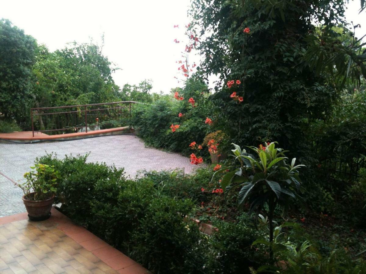 Green Villa Sand Beach Center Close Sea Veiw Cefalu Luaran gambar