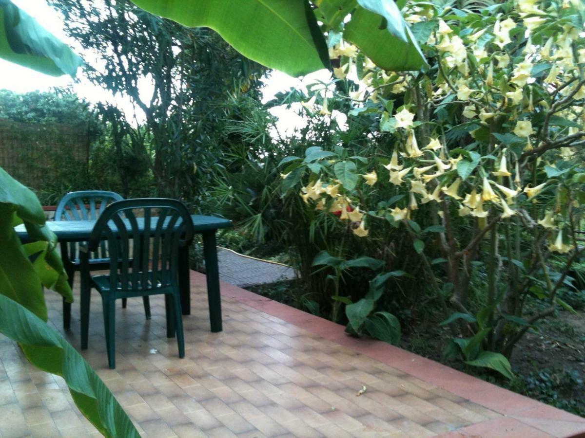 Green Villa Sand Beach Center Close Sea Veiw Cefalu Luaran gambar